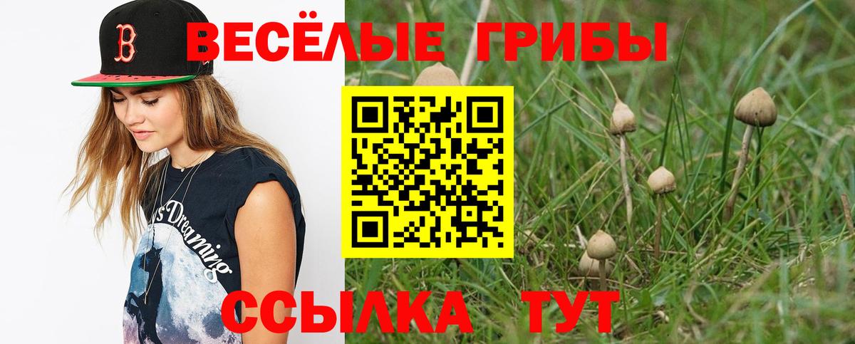 Псилоцибиновые грибы ЛСД  Вход с VPN  Гудермес  Галлюциногенные грибы Cubensis 